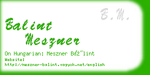 balint meszner business card